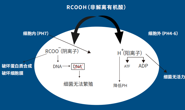 1760168993842928.jpg 99.jpg